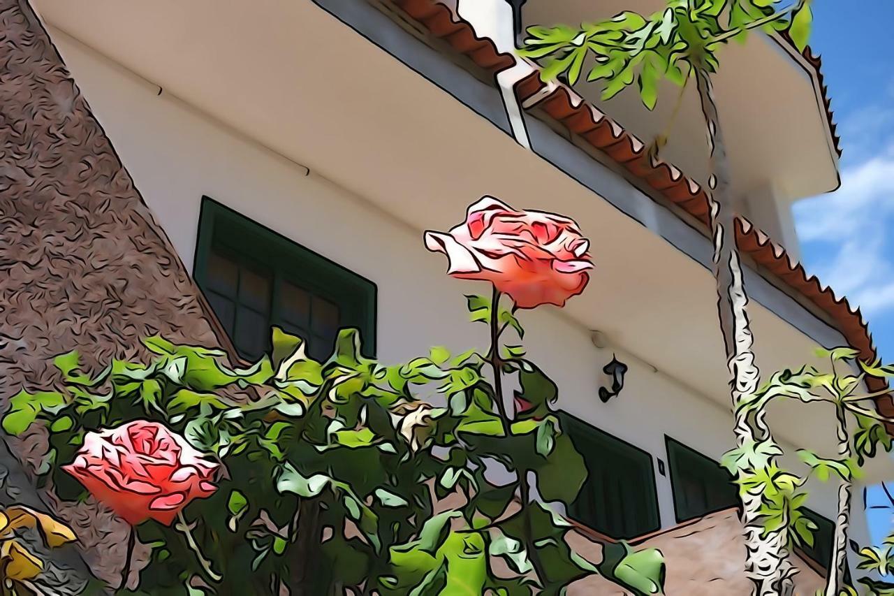 Apartamentos Nayara Valle Gran Rey Exterior foto